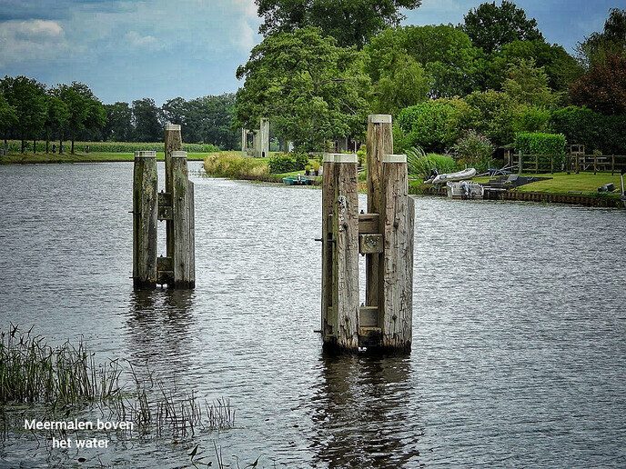 Landgoed de Havixhorst; pracht gebied - Foto: Femmie Smink