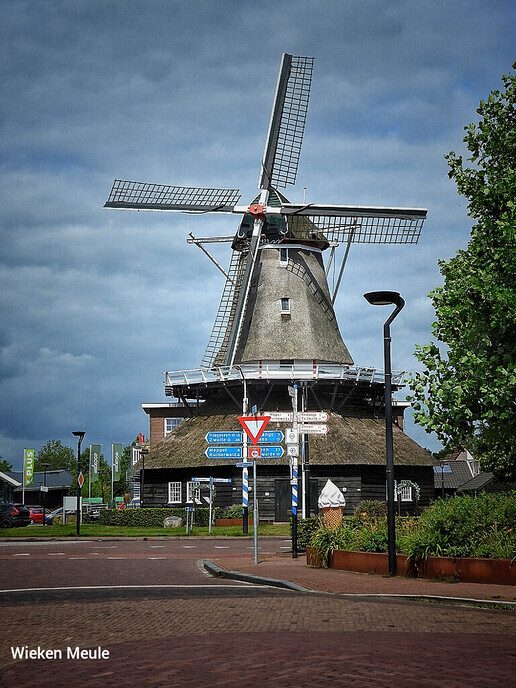 Landgoed de Havixhorst; pracht gebied - Foto: Femmie Smink