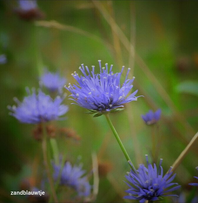 De natuur in de omgeving Hessenpoort blijft fascineren - Foto: Femmie Smink