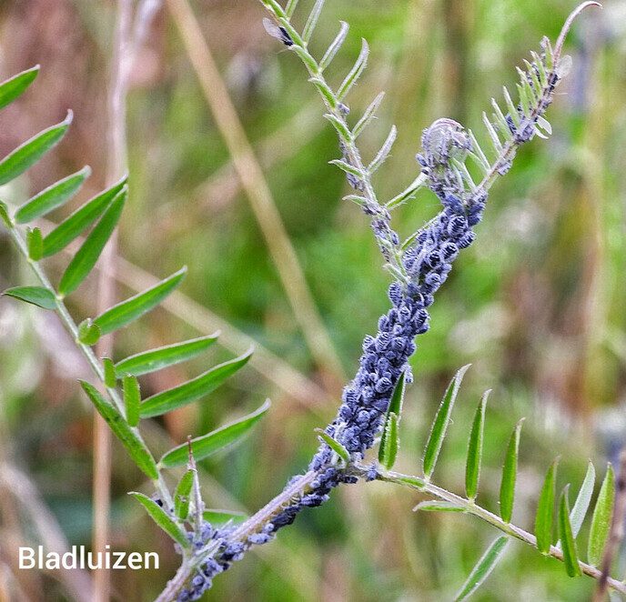 De natuur in de omgeving Hessenpoort blijft fascineren - Foto: Femmie Smink