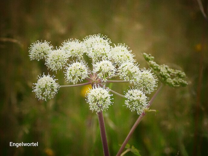 De natuur in de omgeving Hessenpoort blijft fascineren - Foto: Femmie Smink
