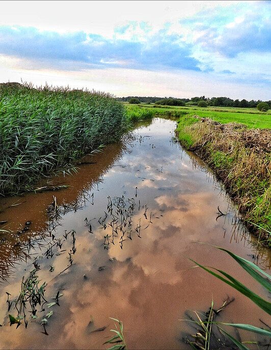 Avereest wandeling - Foto: Femmie Smink