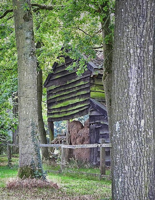 Landgoed de Havixhorst; pracht gebied - Foto: Femmie Smink