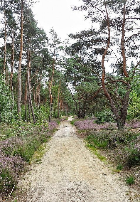 Arriën een mooi natuurgebied - Foto: Femmie Smink