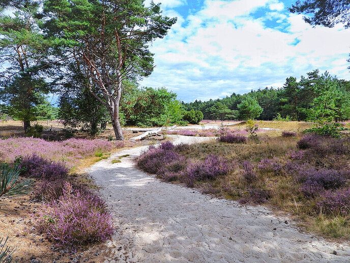 Arriën een mooi natuurgebied - Foto: Femmie Smink