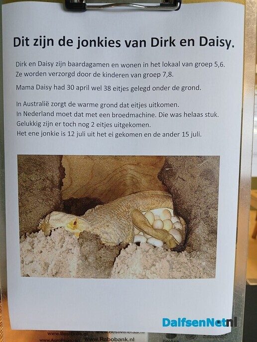 Jonge baardagamen op basisschool Sjaloom - Foto: Ingezonden foto