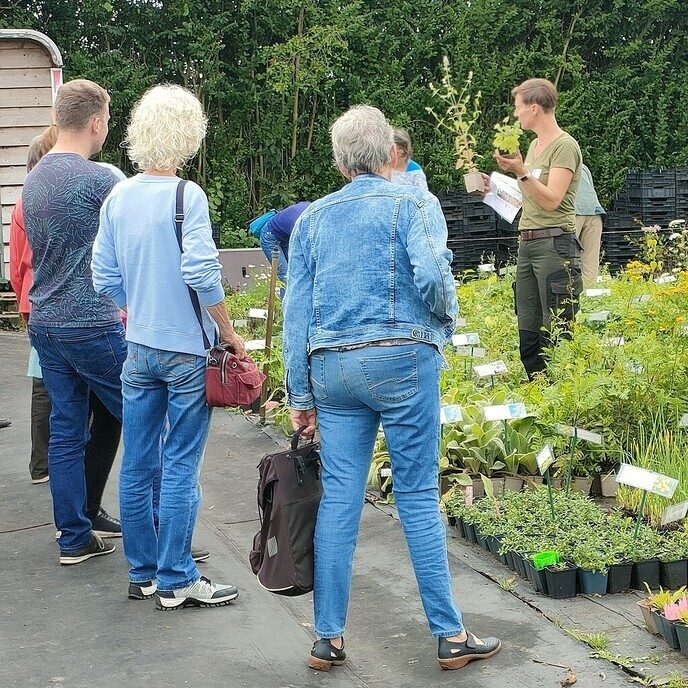 Kom kijken bij de kweker op 20 september - Foto: Ingezonden foto