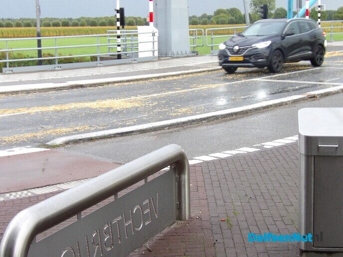 Het Dalfser publiek genoot weer van de Normaal (a)anhangers - Foto: Willy