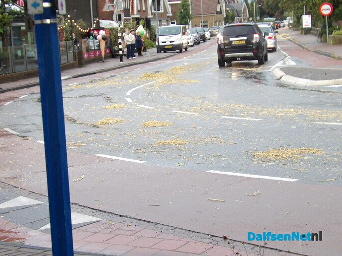 Het Dalfser publiek genoot weer van de Normaal (a)anhangers - Foto: Willy