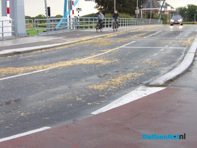 Het Dalfser publiek genoot weer van de Normaal (a)anhangers - Foto: Willy