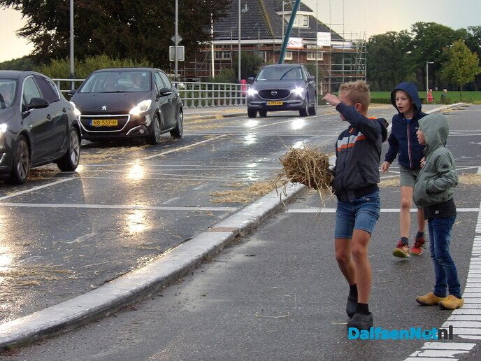 Het Dalfser publiek genoot weer van de Normaal (a)anhangers - Foto: Willy