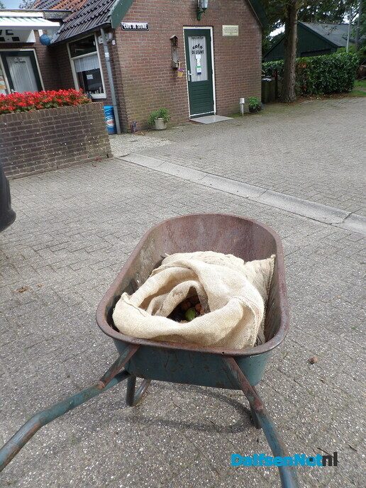 Kruiwagen met walnoten voor Anton - Foto: Willy