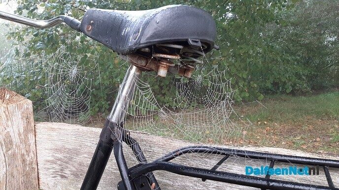 Een mistige fiets, object voor een spinnende spin - Foto: Jennie Kanis