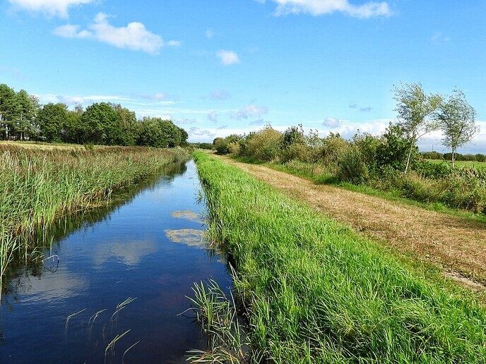 De prachtige natuur van Witharen - Foto: Femmie Smink