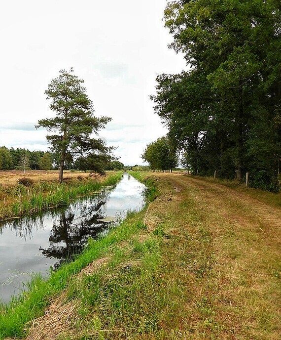 De prachtige natuur van Witharen - Foto: Femmie Smink
