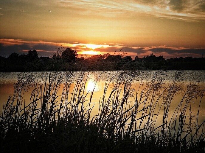 Zonsondergang Nieuwleusen - Foto: Femmie Smink