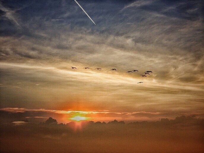 Zonsondergang Nieuwleusen - Foto: Femmie Smink