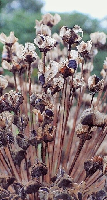Vandaag een leuke variatie van de natuur - Foto: Femmie Smink
