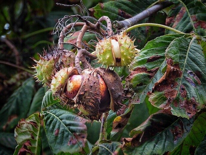 Vandaag een leuke variatie van de natuur - Foto: Femmie Smink