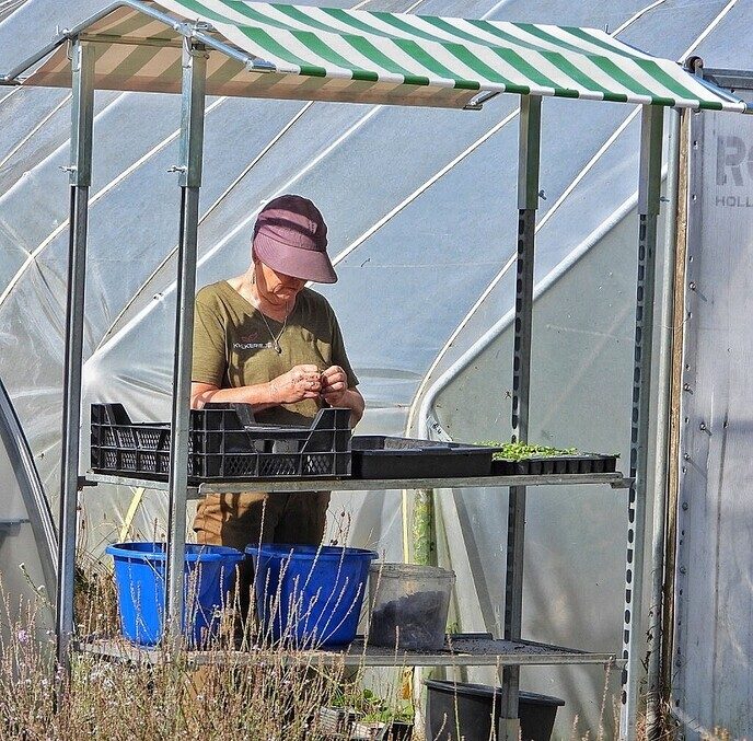 Op bezoek bij de kwekerij - Foto: Femmie Smink