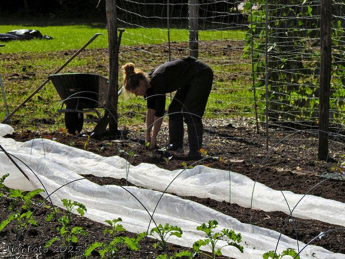 Open dag Zandeinde zorgboerderij en tuinderij