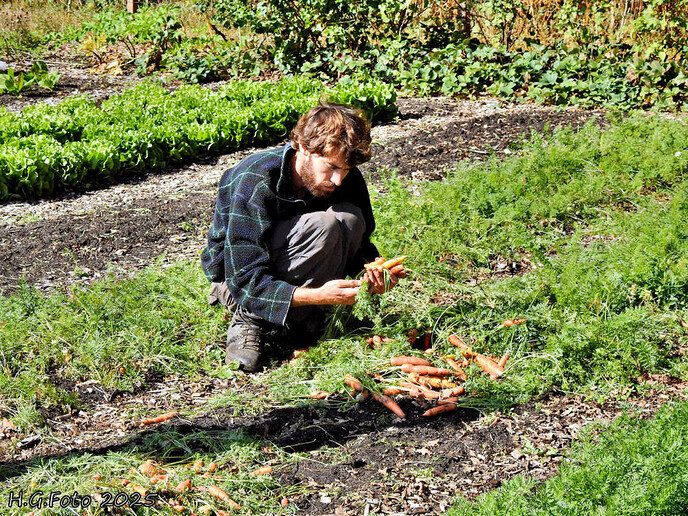 Open dag Zandeinde zorgboerderij en tuinderij