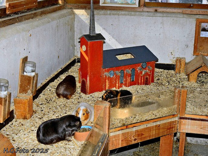 Open dag Zandeinde zorgboerderij en tuinderij