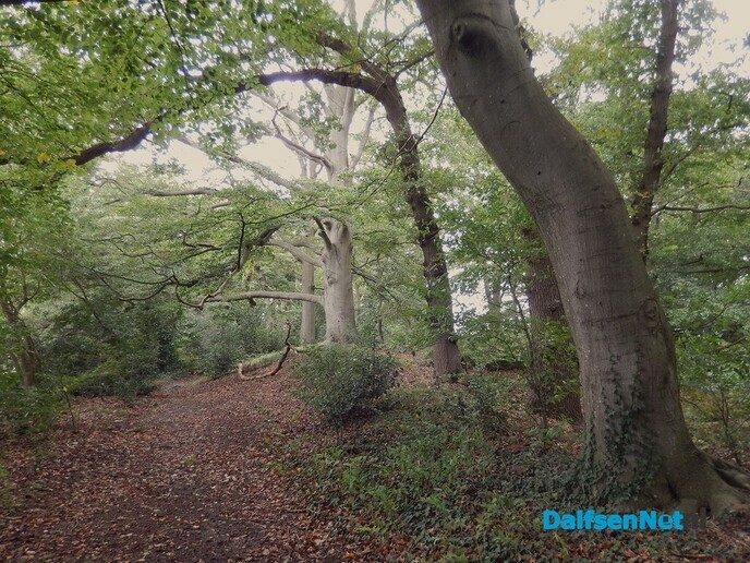 Zeer interessante lezing en een natuurexcursie over Landgoed Vilsteren - Foto: Willy