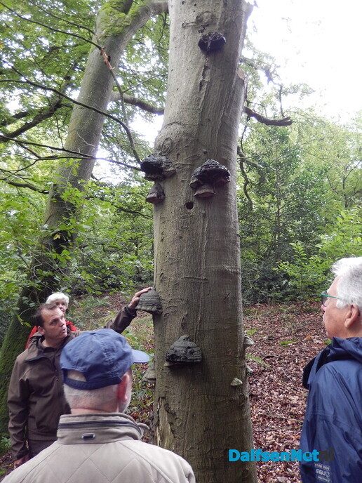 Zeer interessante lezing en een natuurexcursie over Landgoed Vilsteren - Foto: Willy