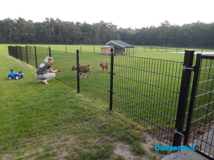 De 11e oktober gaat het gebeuren: opening Venne Moaties - Foto: Willy