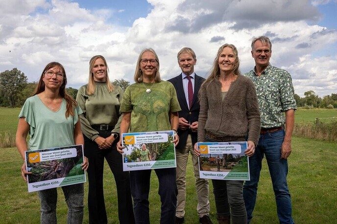 Meest geliefde boom van Overijssel - Foto: Ingezonden foto