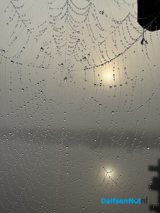 Mistig Dalfsen - Foto: Ingezonden foto