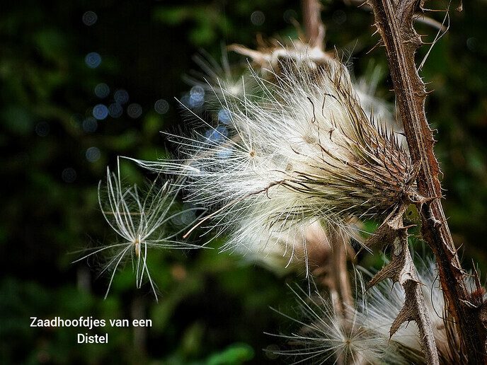 Op bezoek bij de kwekerij - Foto: Femmie Smink