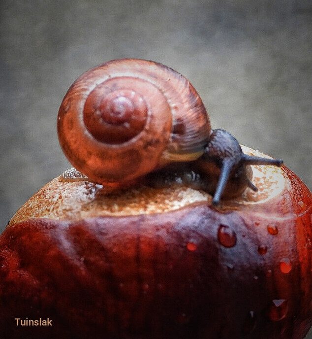 Vandaag een leuke variatie van de natuur - Foto: Femmie Smink