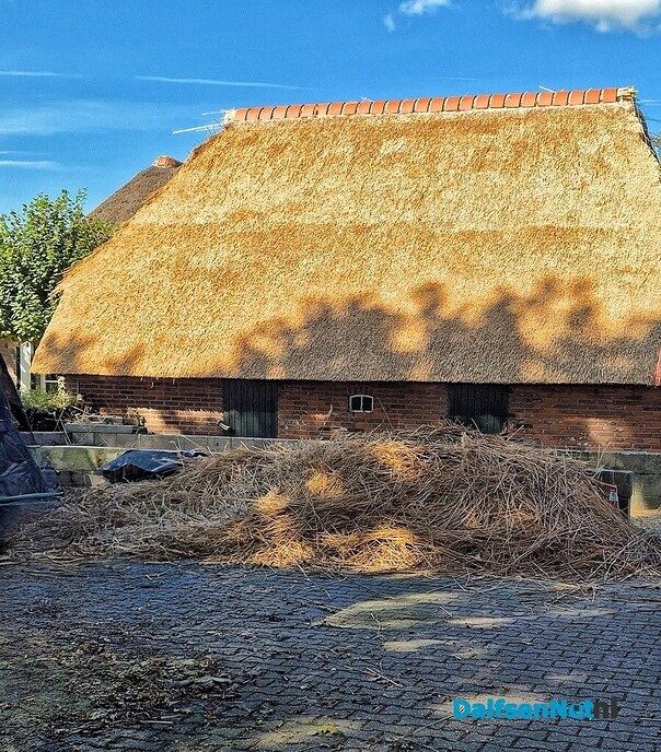 Een mooi nieuw rieten dak - Foto: Femmie Smink