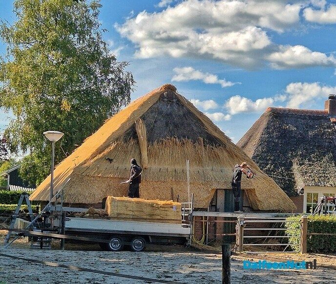 Een mooi nieuw rieten dak - Foto: Femmie Smink
