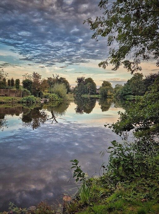 Hulsterplas: een sprookje - Foto: Femmie Smink