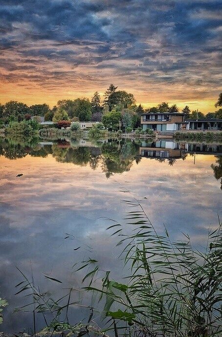 Hulsterplas: een sprookje - Foto: Femmie Smink