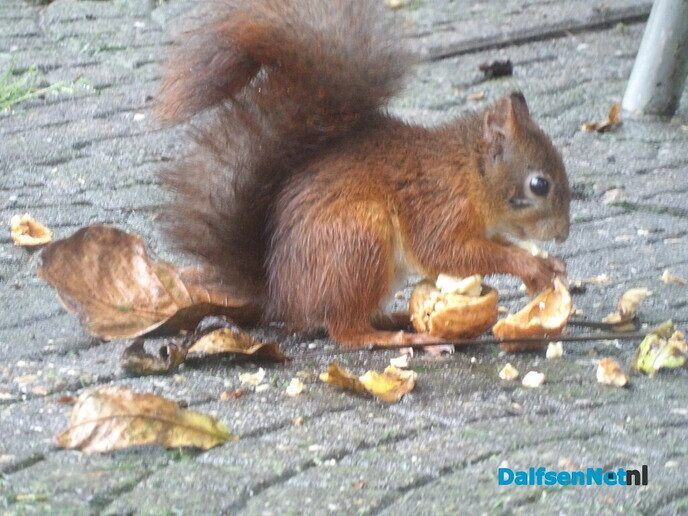 Laatste noten afgeleverd - Foto: Willy