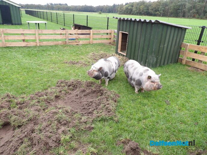 De opening van kinderopvang de Venne Moaties - Foto: Willy