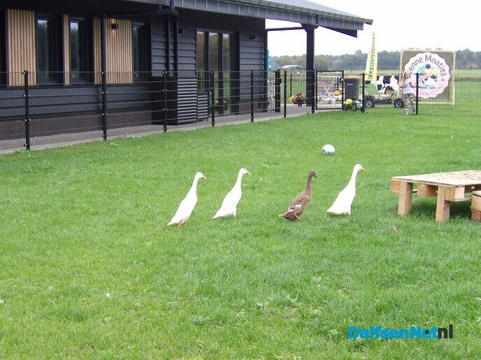 De opening van kinderopvang de Venne Moaties - Foto: Willy