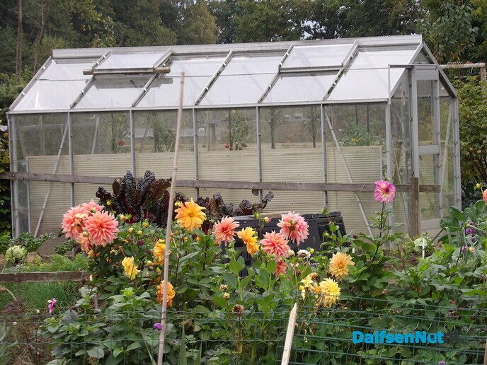 Je eigen groente en fruit of bloemen verbouwen - Foto: Willy