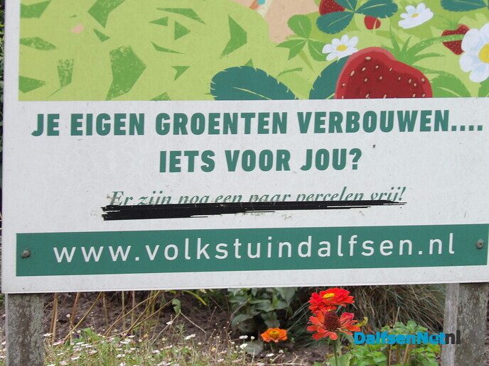 Je eigen groente en fruit of bloemen verbouwen - Foto: Willy