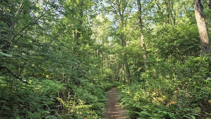 Beleef de natuur van Overijssel vanuit huis - Foto: Ingezonden foto