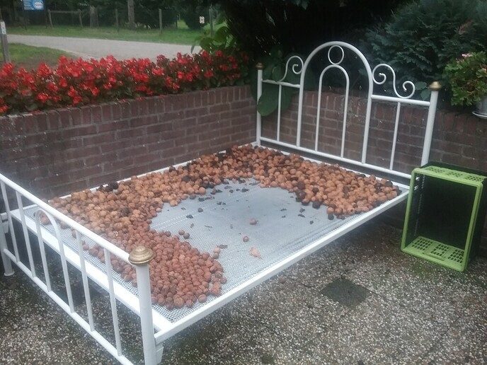  Dit bed is niet om op te slapen - Foto: Anton van de Stuwe