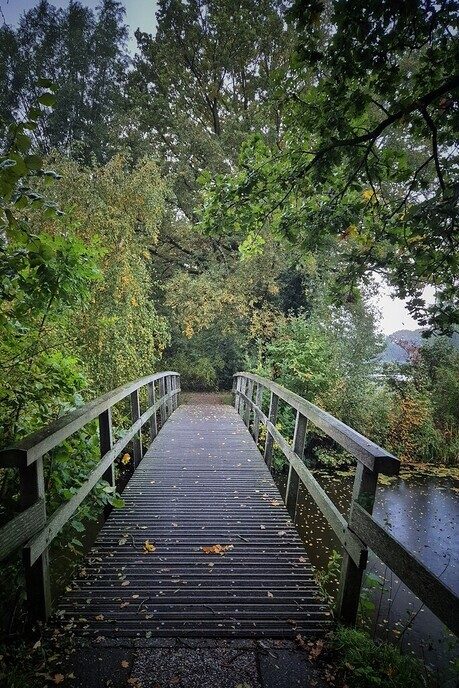 Kleurverandering van de natuur - Foto: Femmie Smink