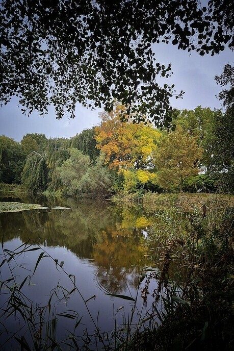 Kleurverandering van de natuur - Foto: Femmie Smink