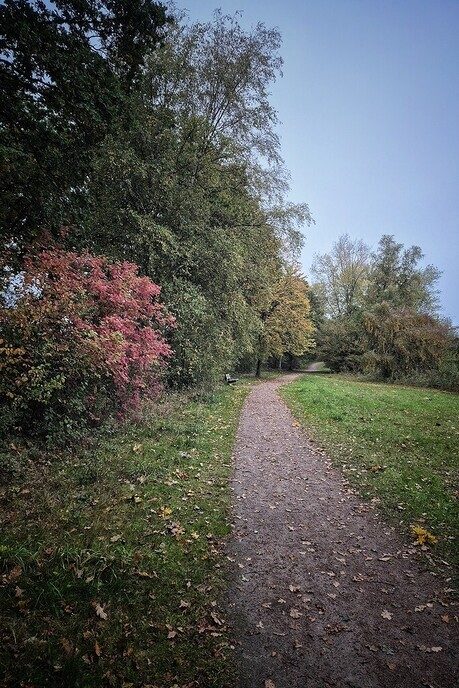 Kleurverandering van de natuur - Foto: Femmie Smink