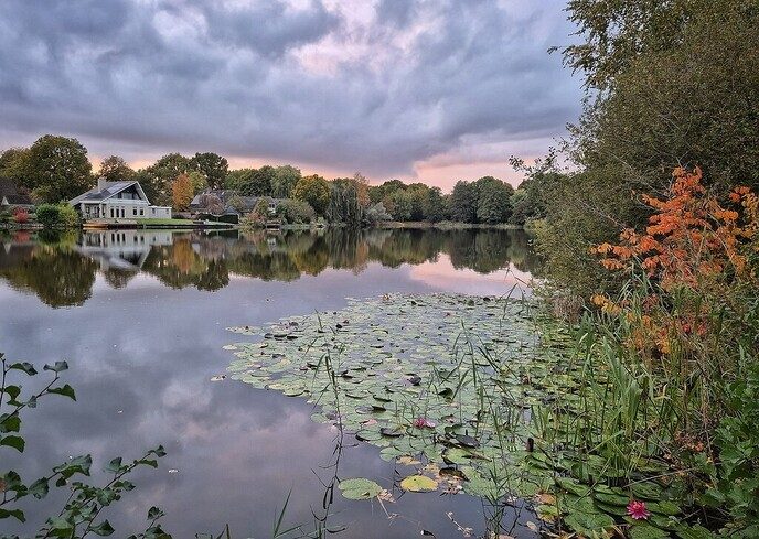 Een leuke variatie aan natuurfoto’s - Foto: Femmie Smink