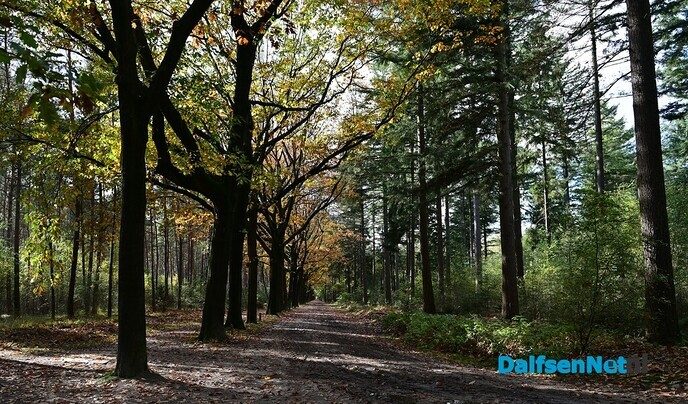 Wandeling over het Rechterense Veld - Foto: Johan Bokma